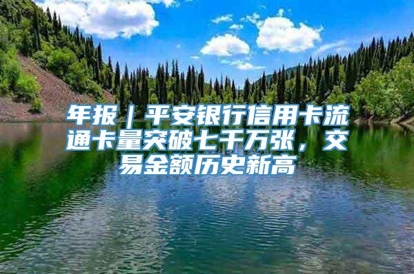 年报｜平安银行信用卡流通卡量突破七千万张，交易金额历史新高