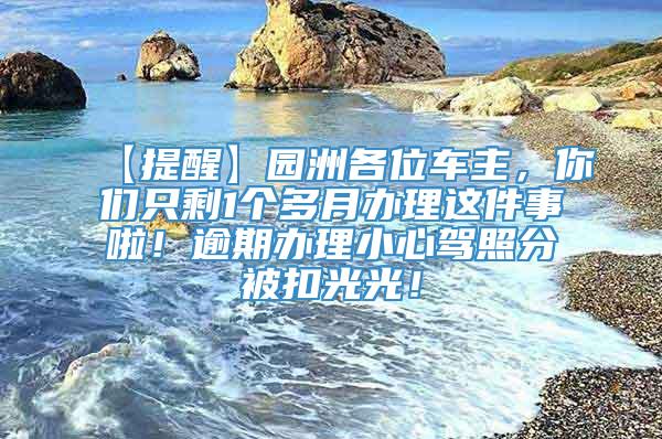 【提醒】园洲各位车主，你们只剩1个多月办理这件事啦！逾期办理小心驾照分被扣光光！