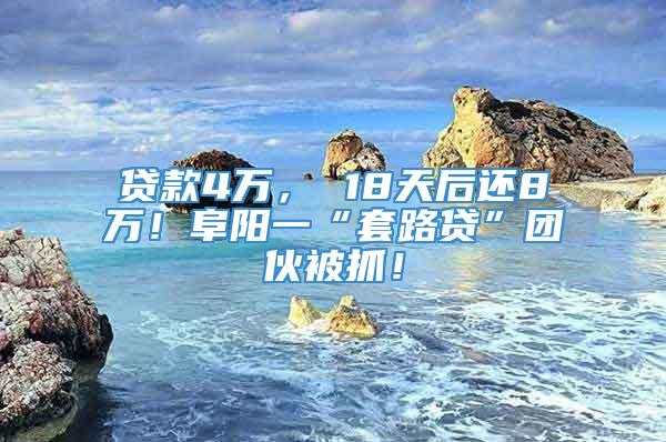 贷款4万， 18天后还8万！阜阳一“套路贷”团伙被抓！