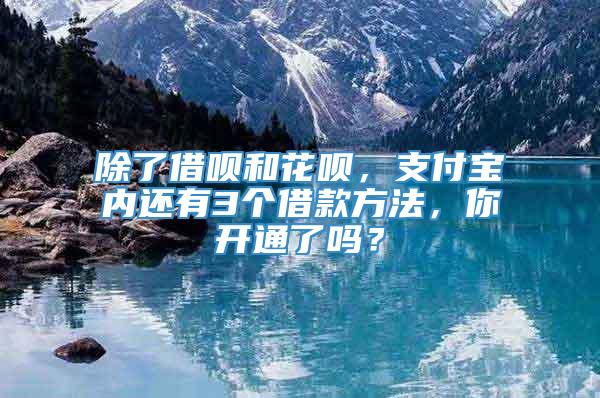 除了借呗和花呗，支付宝内还有3个借款方法，你开通了吗？