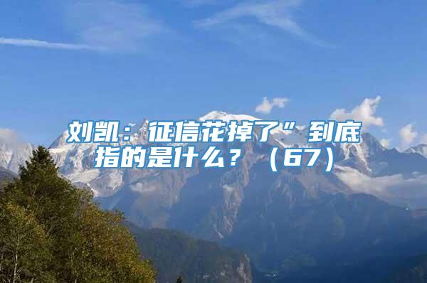 刘凯：征信花掉了”到底指的是什么？（67）