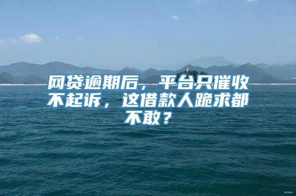 网贷逾期后，平台只催收不起诉，这借款人跪求都不敢？