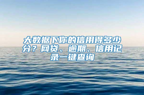 大数据下你的信用得多少分？网贷、逾期、信用记录一键查询