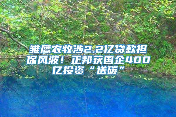 雏鹰农牧涉2.2亿贷款担保风波！正邦获国企400亿投资“送碳”