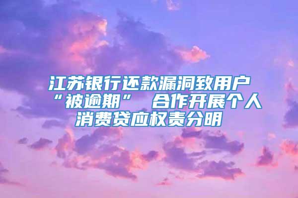 江苏银行还款漏洞致用户“被逾期” 合作开展个人消费贷应权责分明