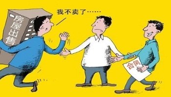 欠网贷可以申请停息还本吗