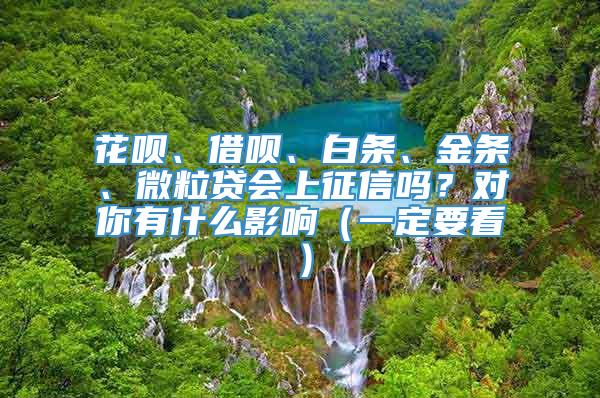 花呗、借呗、白条、金条、微粒贷会上征信吗？对你有什么影响（一定要看）