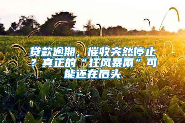 贷款逾期，催收突然停止？真正的“狂风暴雨”可能还在后头