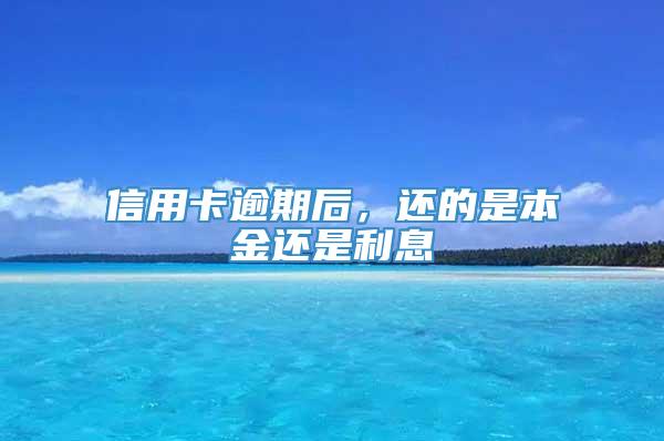 信用卡逾期后，还的是本金还是利息