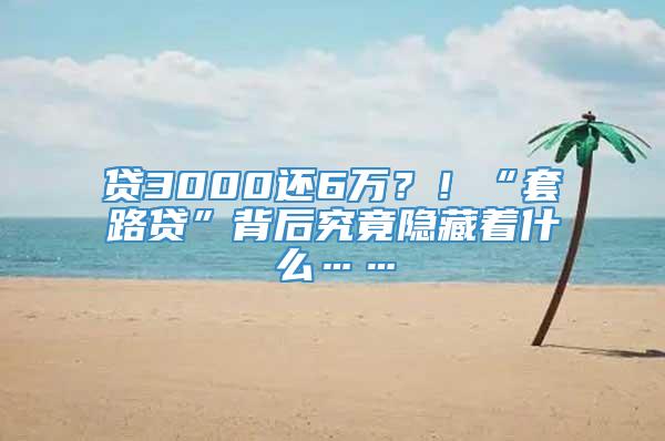 贷3000还6万？！“套路贷”背后究竟隐藏着什么……