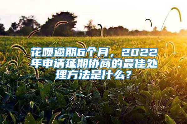 花呗逾期6个月，2022年申请延期协商的最佳处理方法是什么？