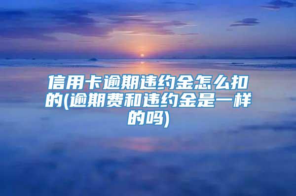 信用卡逾期违约金怎么扣的(逾期费和违约金是一样的吗)