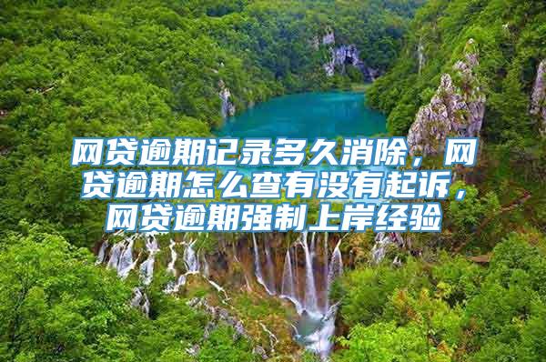 网贷逾期记录多久消除，网贷逾期怎么查有没有起诉，网贷逾期强制上岸经验