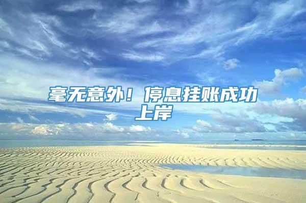 毫无意外！停息挂账成功上岸