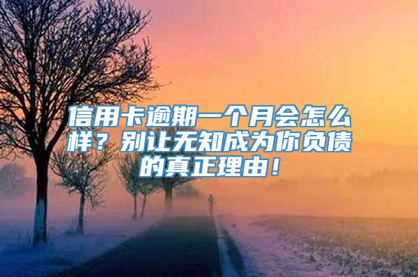 信用卡逾期一个月会怎么样？别让无知成为你负债的真正理由！