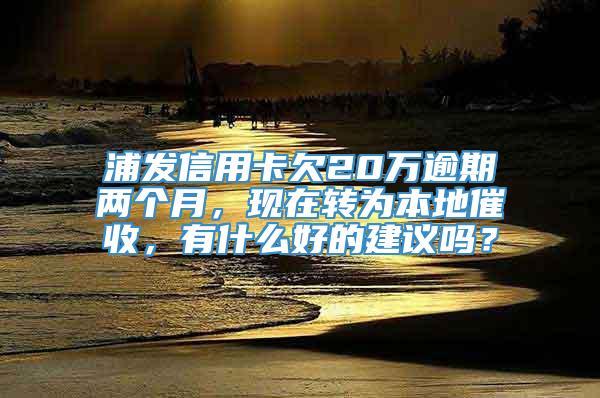 浦发信用卡欠20万逾期两个月，现在转为本地催收，有什么好的建议吗？