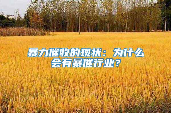 暴力催收的现状：为什么会有暴催行业？