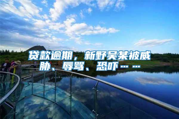 贷款逾期，新野吴某被威胁、辱骂、恐吓……