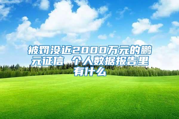 被罚没近2000万元的鹏元征信 个人数据报告里有什么