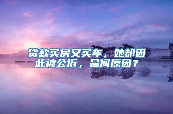 贷款买房又买车，她却因此被公诉，是何原因？