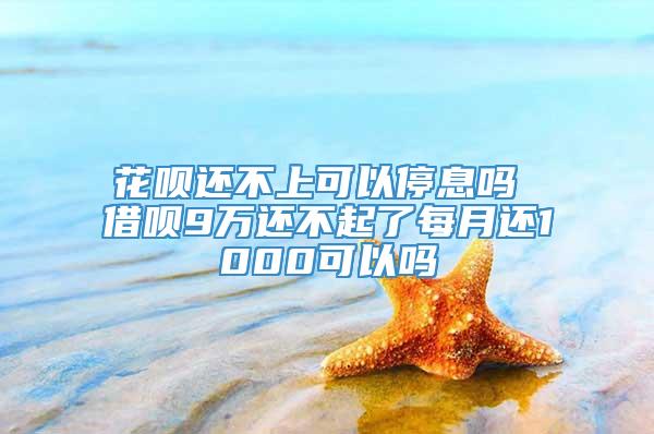 花呗还不上可以停息吗 借呗9万还不起了每月还1000可以吗