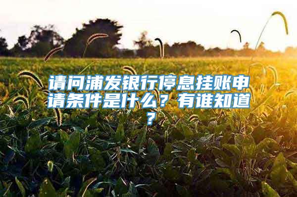 请问浦发银行停息挂账申请条件是什么？有谁知道？