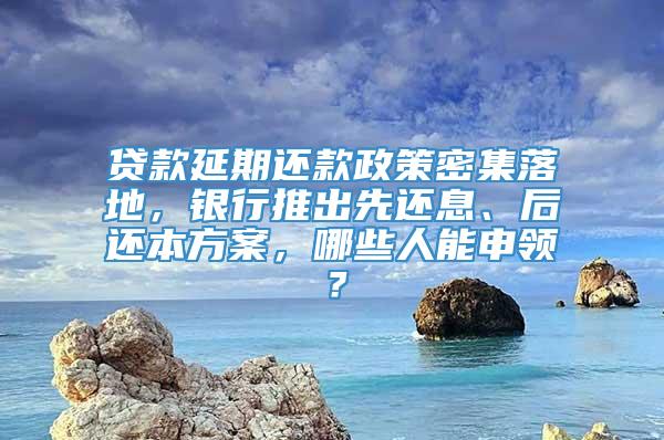 贷款延期还款政策密集落地，银行推出先还息、后还本方案，哪些人能申领？