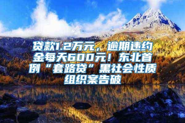 贷款1.2万元，逾期违约金每天600元！东北首例“套路贷”黑社会性质组织案告破