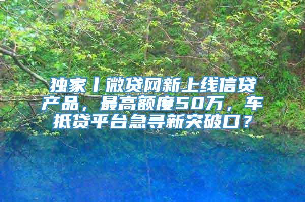 独家丨微贷网新上线信贷产品，最高额度50万，车抵贷平台急寻新突破口？