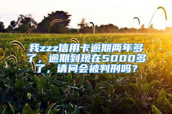 我zzz信用卡逾期两年多了，逾期到现在5000多了，请问会被判刑吗？