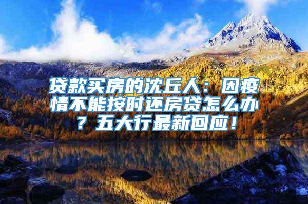 贷款买房的沈丘人：因疫情不能按时还房贷怎么办？五大行最新回应！