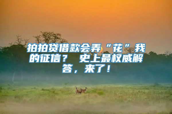 拍拍贷借款会弄“花”我的征信？ 史上最权威解答，来了！