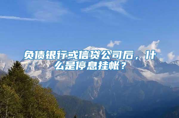 负债银行或信贷公司后，什么是停息挂帐？