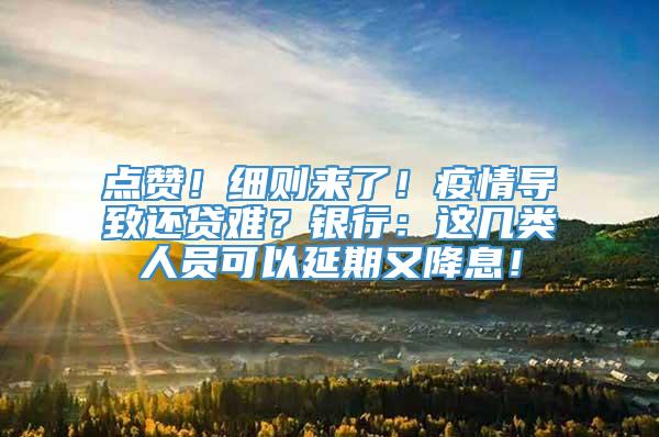 点赞！细则来了！疫情导致还贷难？银行：这几类人员可以延期又降息！