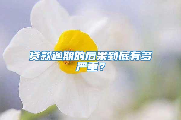 贷款逾期的后果到底有多严重？