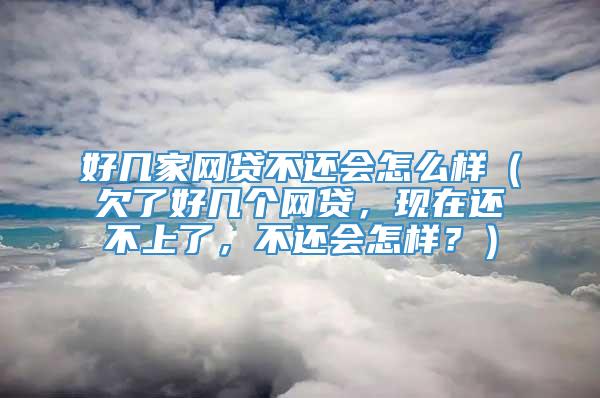 好几家网贷不还会怎么样（欠了好几个网贷，现在还不上了，不还会怎样？）