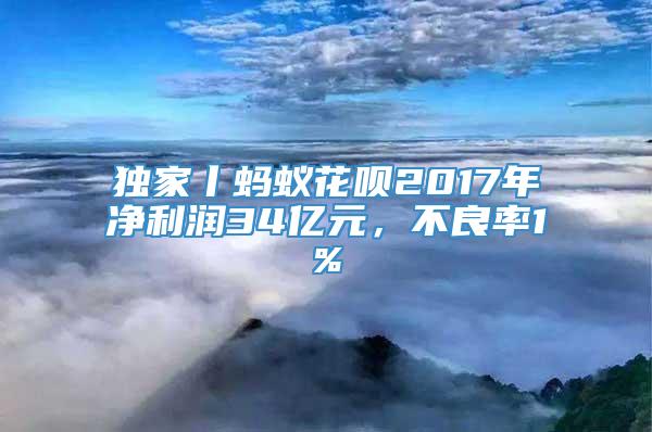 独家丨蚂蚁花呗2017年净利润34亿元，不良率1%