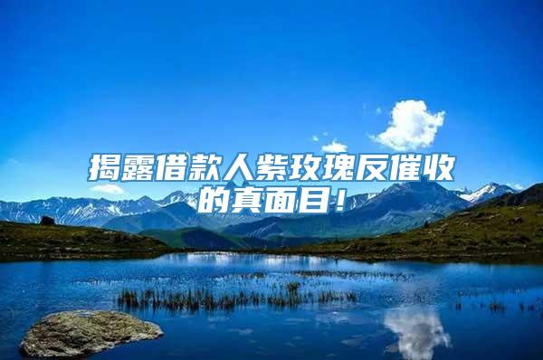 揭露借款人紫玫瑰反催收的真面目！