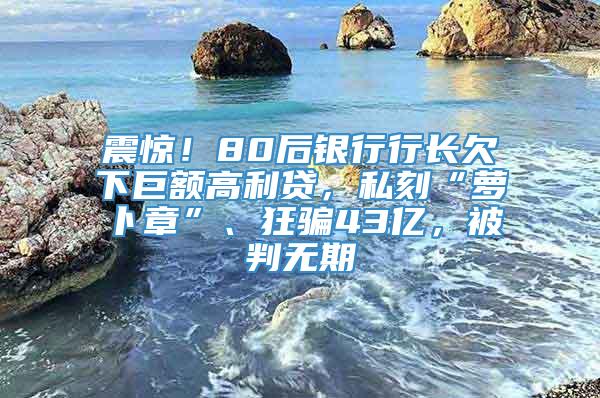 震惊！80后银行行长欠下巨额高利贷，私刻“萝卜章”、狂骗43亿，被判无期