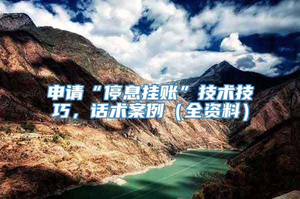 申请“停息挂账”技术技巧，话术案例（全资料）