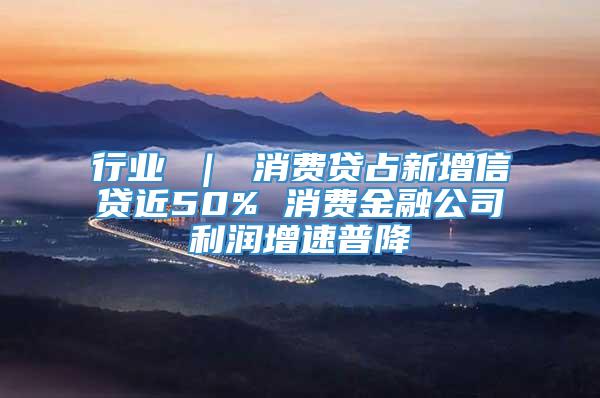 行业 ｜ 消费贷占新增信贷近50% 消费金融公司利润增速普降