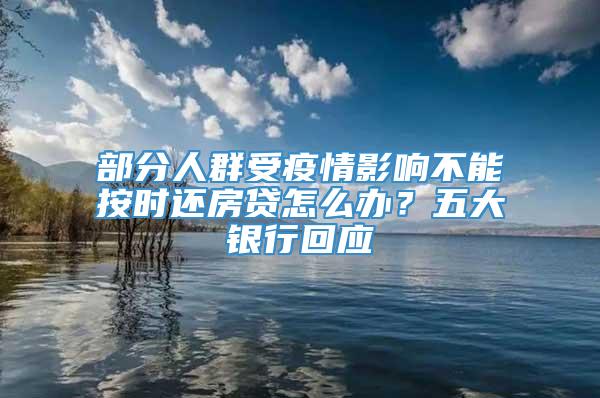 部分人群受疫情影响不能按时还房贷怎么办？五大银行回应