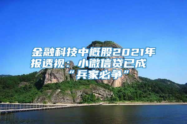 金融科技中概股2021年报透视：小微信贷已成“兵家必争”