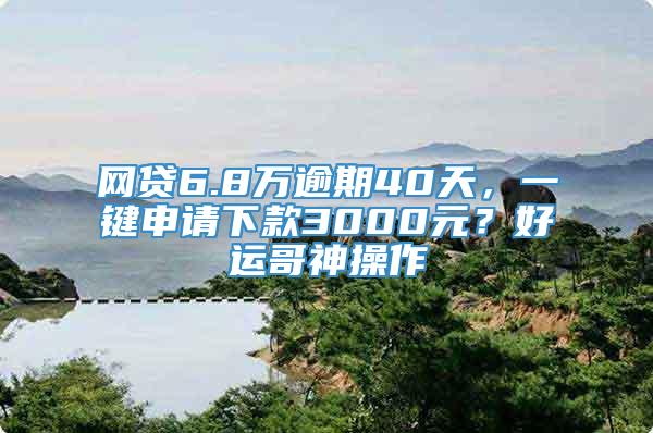 网贷6.8万逾期40天，一键申请下款3000元？好运哥神操作