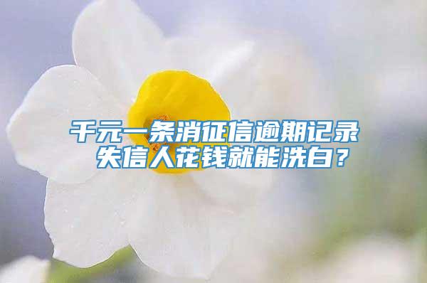 千元一条消征信逾期记录 失信人花钱就能洗白？