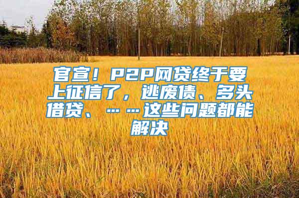 官宣！P2P网贷终于要上征信了，逃废债、多头借贷、……这些问题都能解决