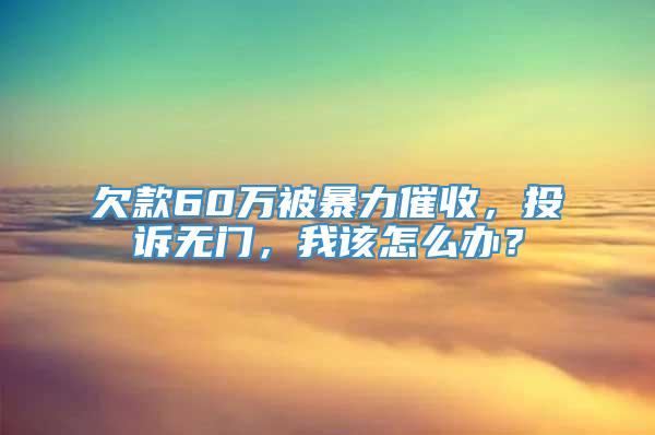 欠款60万被暴力催收，投诉无门，我该怎么办？