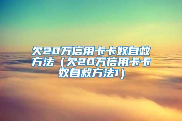 欠20万信用卡卡奴自救方法（欠20万信用卡卡奴自救方法1）