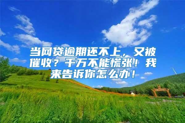 当网贷逾期还不上，又被催收？千万不能慌张！我来告诉你怎么办！