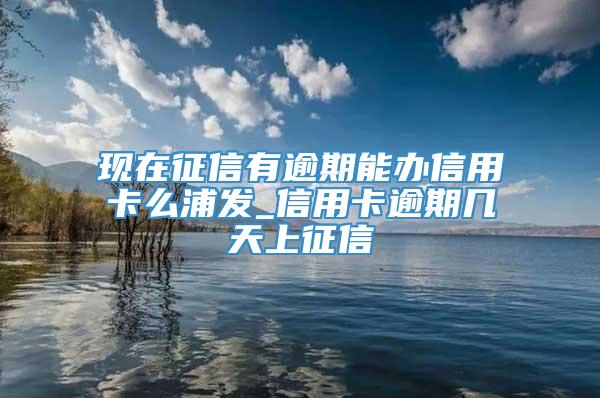 现在征信有逾期能办信用卡么浦发_信用卡逾期几天上征信